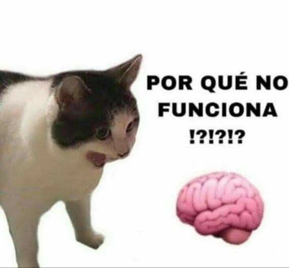 ccamx_'s tweet photo. por favor que termine el cuatri ya, no me queda ni una sola neurona funcional https://t.co/8czqDxo0IJ