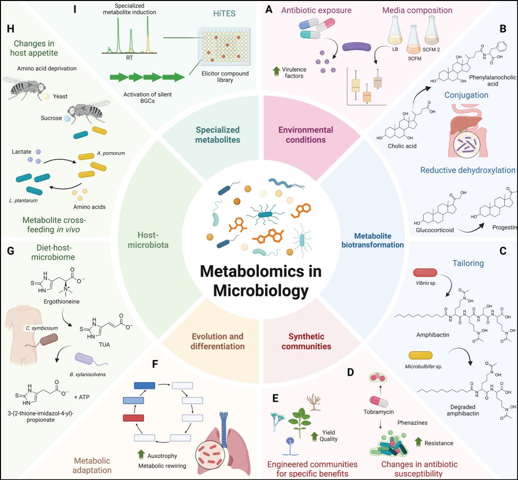 mbiojournal's tweet photo. What happens when microbiologists follow the molecules? This mBio review by @GargLab_GT showcases how #metabolomics is illuminating microbial physiology, communities, and host-microbe interactions. https://t.co/ghMlM6xH76 @Neha10GT #metabolites https://t.co/rRGBQMeRNt