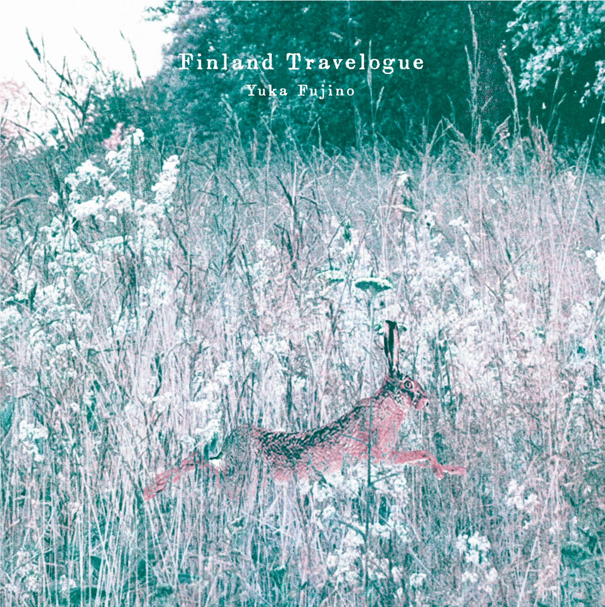 yukafujinoacc's tweet photo. 5枚目のソロアルバム「Finland Travelogue」が出ます！その名の通り、フィランドで出会った音楽や、生まれた音楽をアコーディオン一台で。全10曲。
ルサッコ（フィンランド語で野ウサギ）と、旅へ。ジャケットの中には、スクラップノートのように賑やかな、ライナーノーツもついています！デザインは、「Kokuu」「韻」のデザイナー、Bjørn！
10/25（日）#M3 新作です！
サークル名「谷岡久美とオオフジツボ」
東京流通センター「第1展示場 F-20b」
その後、ライブ会場、通販「CDショップふじ」で販売予定です！