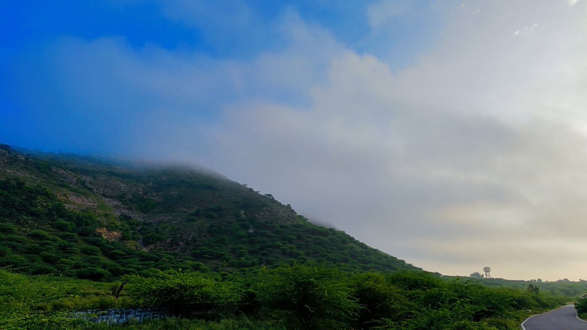 bonanzacox's tweet photo. Watching the mountains slowly wake up under a blanket of mist.,🍃🌳 #grok #mountain #bonanzacox https://t.co/vQAfF4igZU