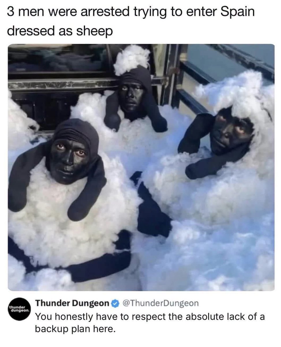 BadQualityMemes's tweet photo. https://t.co/ZWnXa0wcaA