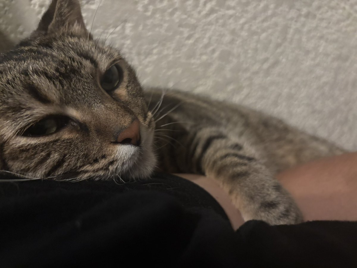 erinmen7's tweet photo. She’s so needy https://t.co/oVcnnJ0PXr