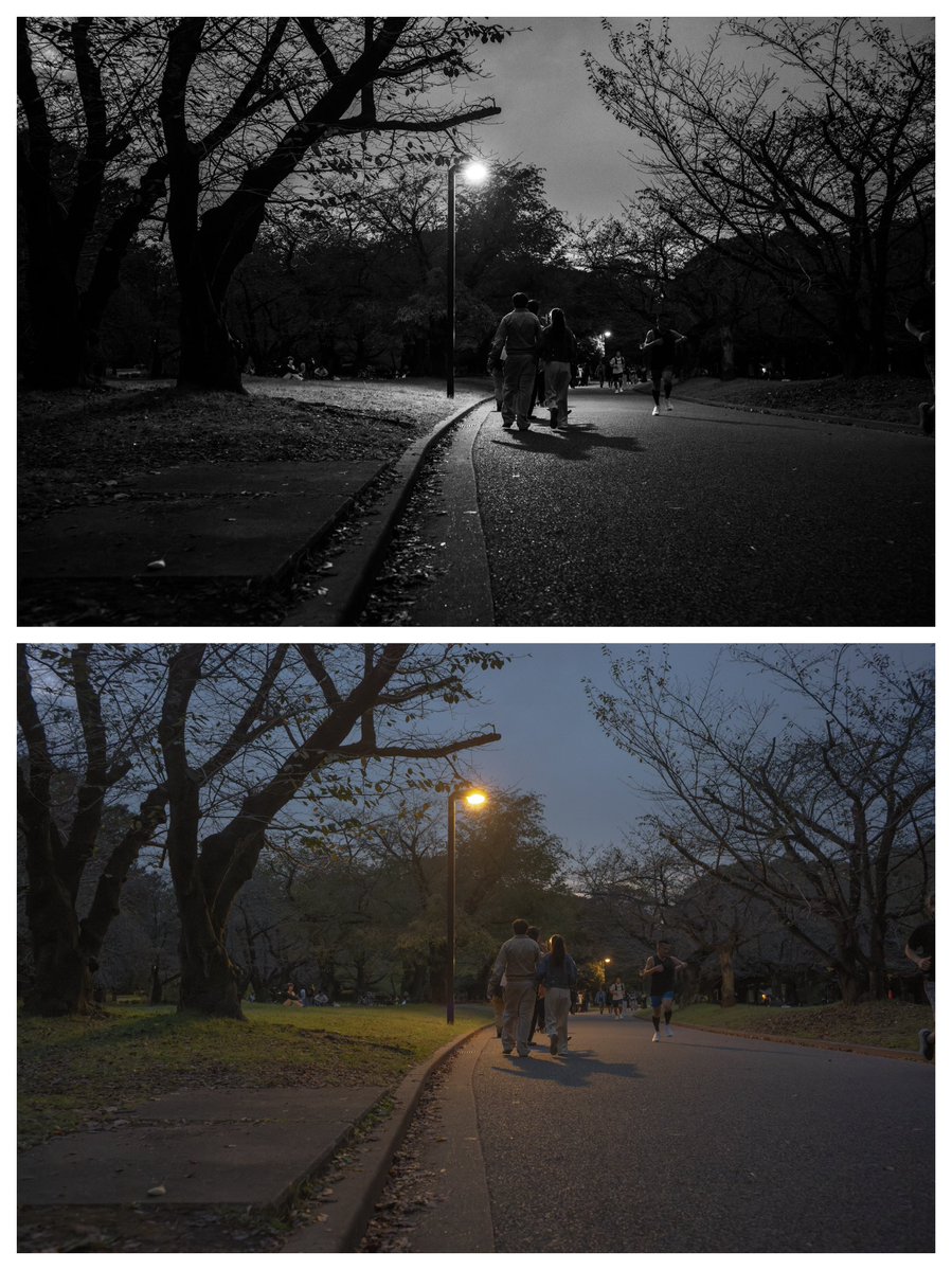 by_dao_'s tweet photo. 薄暮(はくぼ)

太陽が沈み、薄暗くなる夕方の時間帯。

Leica SL3-S
Leica Summicron-M 35mm F2 ASPH.
#Photographer #Snap #Leica https://t.co/feREqyJlr6