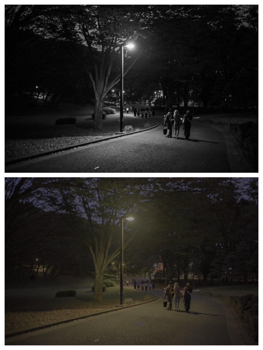 by_dao_'s tweet photo. 薄暮(はくぼ)

太陽が沈み、薄暗くなる夕方の時間帯。

Leica SL3-S
Leica Summicron-M 35mm F2 ASPH.
#Photographer #Snap #Leica https://t.co/feREqyJlr6