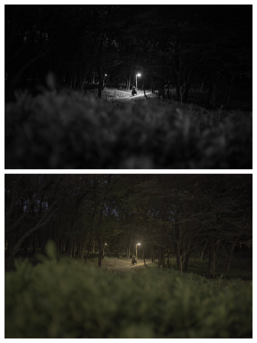 by_dao_'s tweet photo. 薄暮(はくぼ)

太陽が沈み、薄暗くなる夕方の時間帯。

Leica SL3-S
Leica Summicron-M 35mm F2 ASPH.
#Photographer #Snap #Leica https://t.co/feREqyJlr6