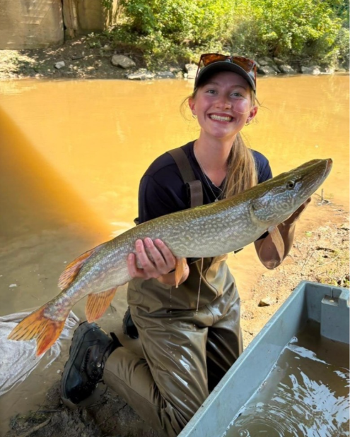 FishOceansCAN's tweet photo. Spend your summer making a difference on the Great Lakes! We’re hiring students through FSWEP for aquatic biology roles in Burlington and Sault Ste. Marie from April to September 2027. Gain hands-on field and lab experience while supporting fisheries research. https://t.co/F8uWOo2nCu