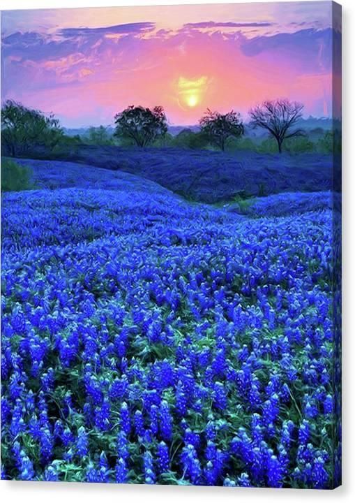 CapertonFineArt's tweet photo. Bluebonnet Sunrise — big thanks to my good friend in Thibodaux, Louisiana for purchasing this lovely original art print that captures the soft dawn light over bluebonnet fields. Your support means so much! https://t.co/FXScJt2t7J #Bluebonnets #ArtPrint https://t.co/Mfgi9ygFZE
