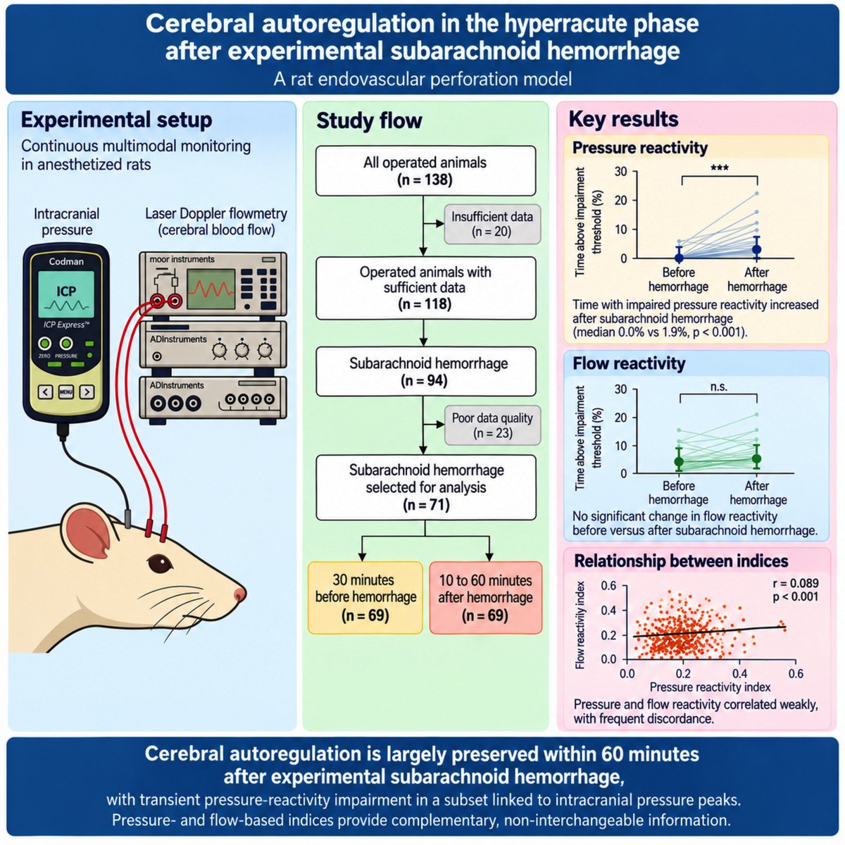 braincomms's tweet photo. Veldeman et al. report largely preserved cerebral autoregulation within an hour of experimental subarachnoid haemorrhage in rats, with transient pressure-reactivity impairment proportional to intracranial pressure elevation.

Read it at 👉https://t.co/dDFG2uSjnl 

#neuroscience https://t.co/4JqdX6O3RG