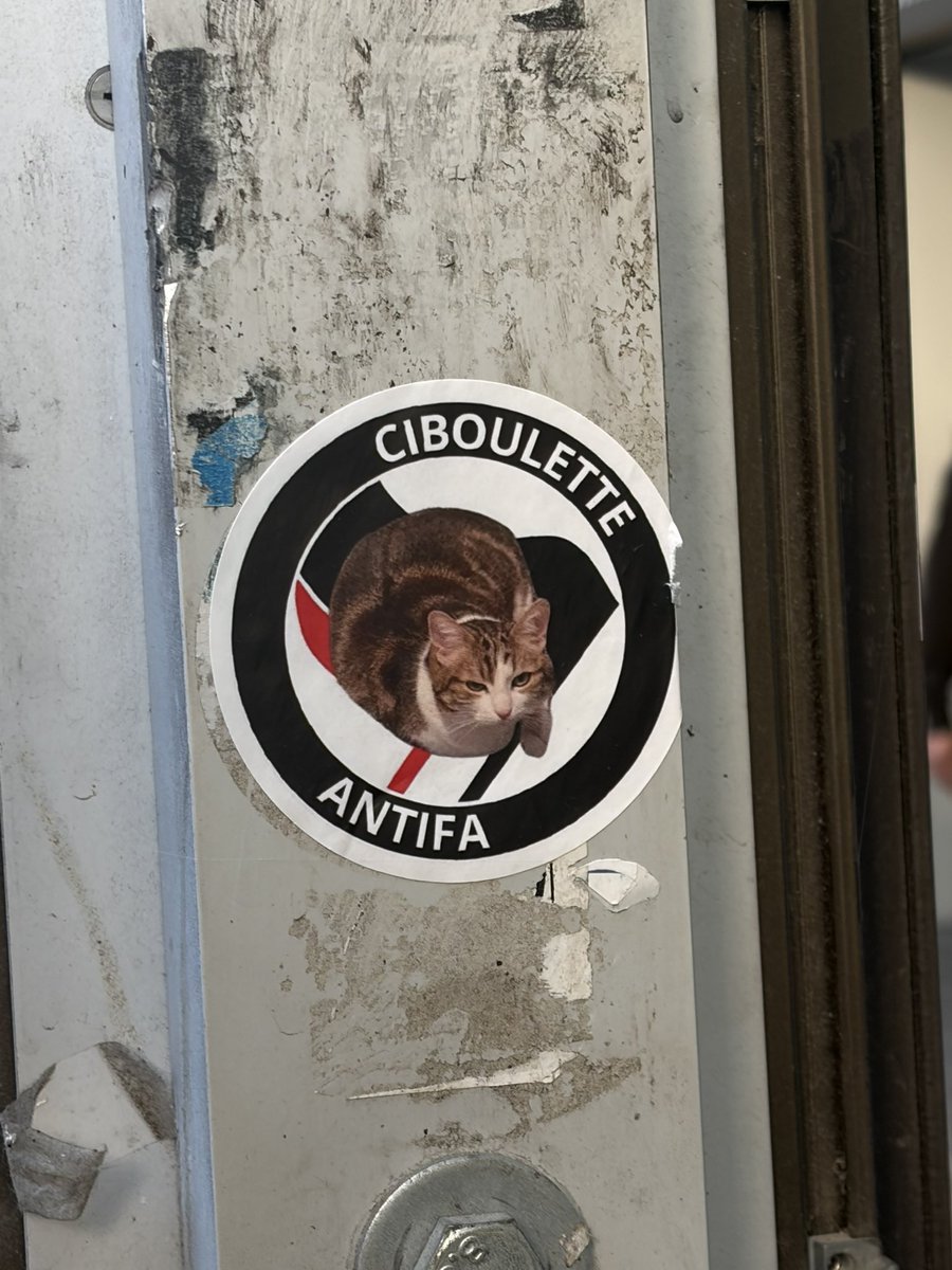 KatsujoHime's tweet photo. Si Ciboulette est antifa, toi aussi tu dois l’être !!!! https://t.co/aq0VWeMrMU