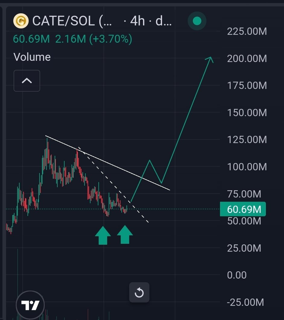 GG1nvestments's tweet photo. MASSIVE $CATE DOUBLE BOTTOM AT PEAK FUD AND 60% RETRACEMENT.

I'M 69.69% SURE BOTTOM IS IN. 

I'F I'M WRONG DOXXING MY LEFT NUT LIVE ON STREAM.

BILLION DOLLAR COIN YOU CAN BID AT 60M. FEW... https://t.co/hTvq5u2pCm