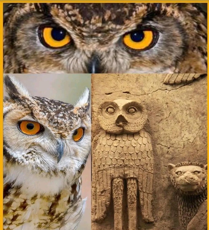 GilgameshIQ's tweet photo. هل تعلم 

ان الاسم السومري للبومة هو (اكوكو) (𒀀𒆪𒆪),

أما في الاكدية فهو (بوم) ” (𒉿𒈬).

أطلق السومريون على البومة " اكوكو "
مثال على ذلك ما جاء في لعنة أكاد، القصة السومرية القديمة التي كتبت حوالي 2100 ق.م

"أحذر قد يجعل اكوكو الطائر الكئيب عشه في بواباتك، فهو، طائر المدن المدمرة  الطائر ذو القلب الحزين الطائر النائم"

Did you know?

The Sumerian word for owl was “Akuku” (𒀀𒆪𒆪), while in Akkadian it was “Būmu” (𒉿𒈬).

The Sumerians referred to the owl as “Akuku”, as attested in the Curse of Agade, an ancient Sumerian literary composition dating to around 2100 BCE:

> “Beware, lest Akuku, the gloomy bird, make its nest in your gateways—
the bird of ruined cities, the bird with a sorrowful heart, the sleeping bird.”