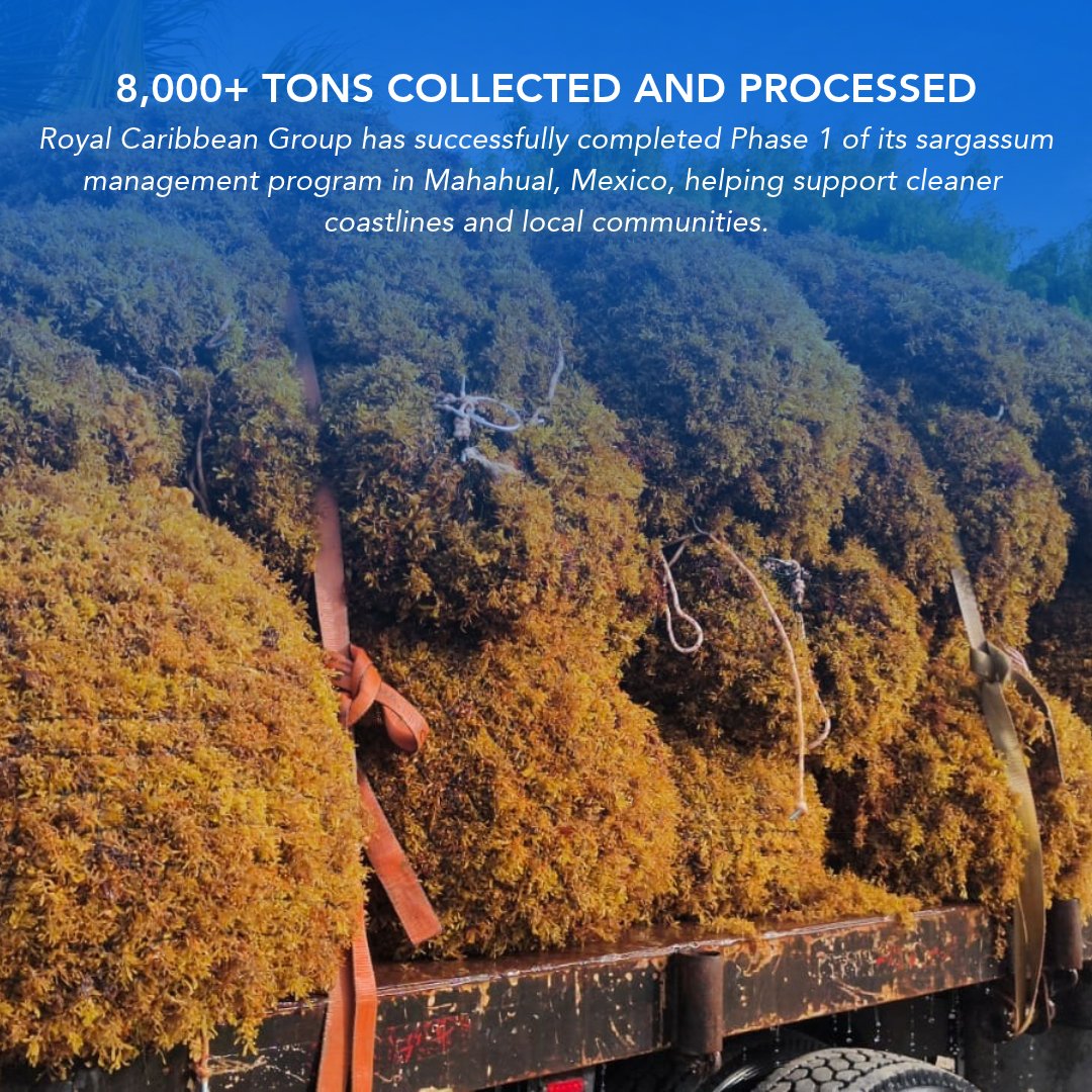 NewsfromRCgroup's tweet photo. Through our SEA the Future efforts, we've helped remove 977 metric tons of sargassum before it reached the shores of Mahahual, Mexico. Now we're expanding cleanup efforts through November alongside local partners.

Learn more: https://t.co/ddkWO9IrRd https://t.co/gIEMOXDq58