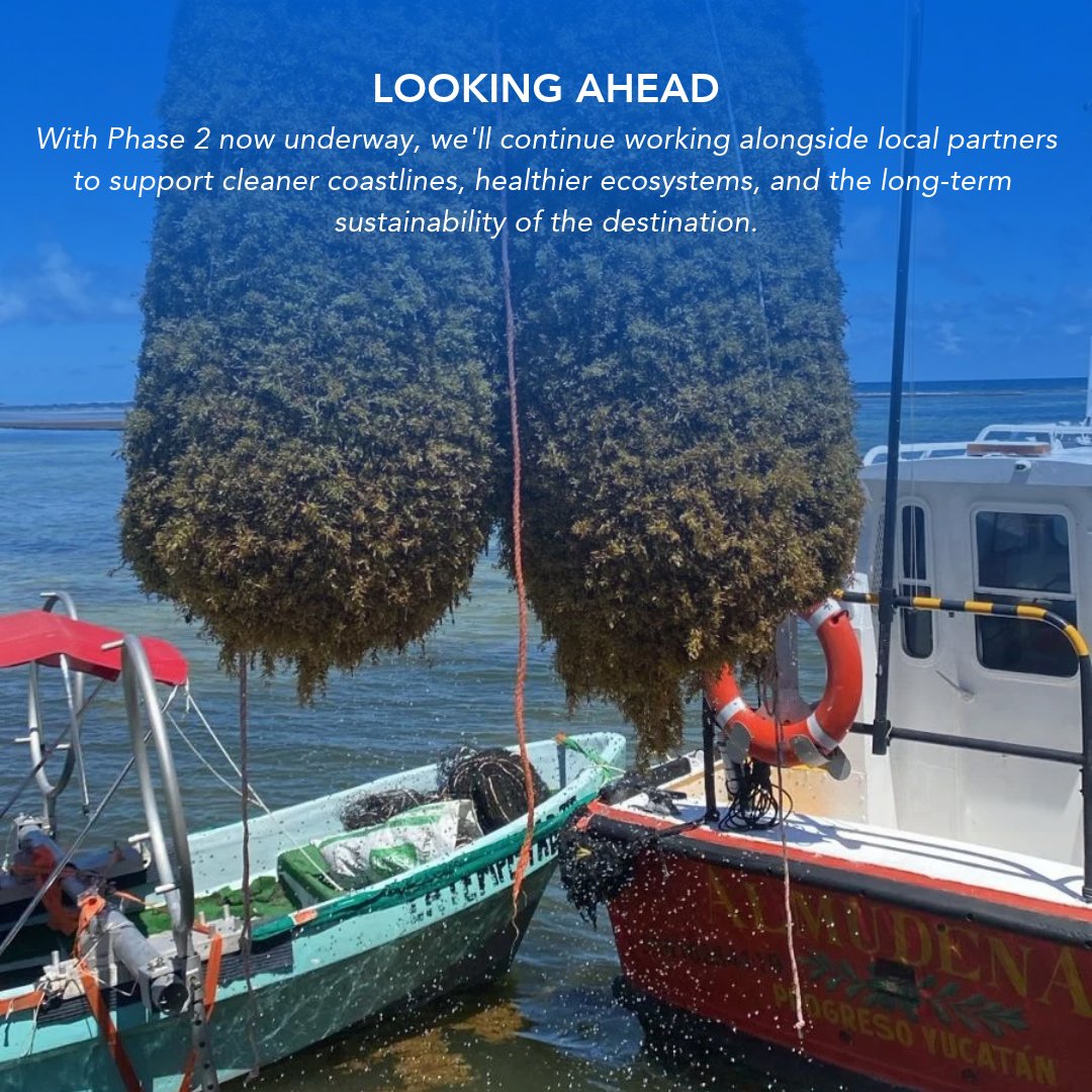 NewsfromRCgroup's tweet photo. Through our SEA the Future efforts, we've helped remove 977 metric tons of sargassum before it reached the shores of Mahahual, Mexico. Now we're expanding cleanup efforts through November alongside local partners.

Learn more: https://t.co/ddkWO9IrRd https://t.co/gIEMOXDq58