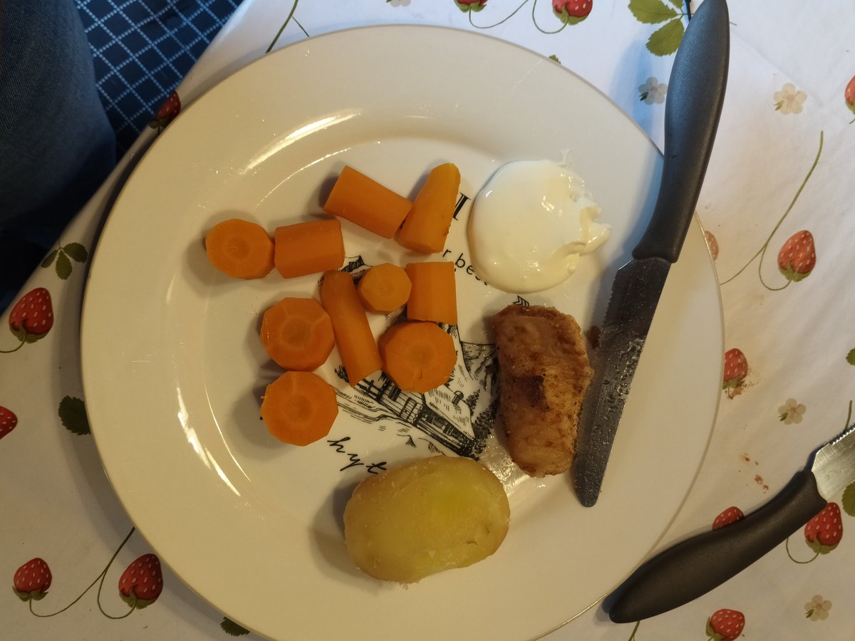 Hollow_bones00's tweet photo. Ate this for dinner!! Carrots, potato, fish, and a bit of sour cream. (I kind of regret the sour cream) https://t.co/VDiDrJsRNK