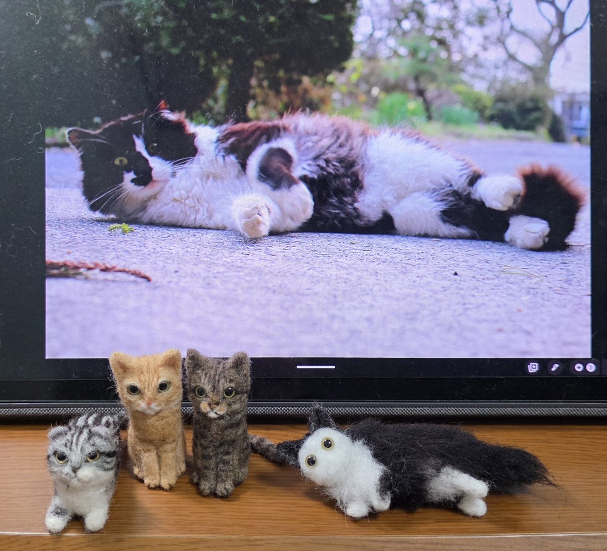 c_fu_san's tweet photo. もふもふクロちゃんお作りしています🐱❤ https://t.co/D8UIxr78FT