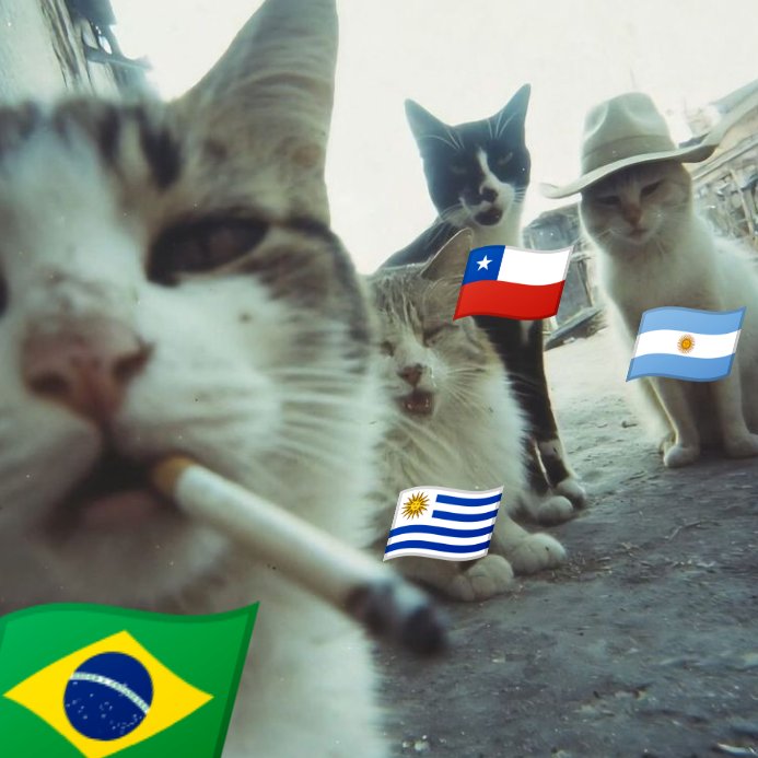 brazukacarente's tweet photo. Los chads de Sudamérica https://t.co/RfiWwhHmdA