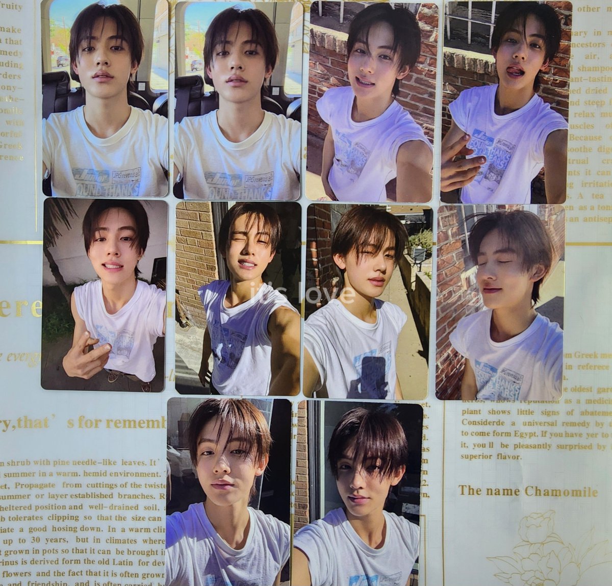 it_love67's tweet photo. my sunshine boy                 my photocard https://t.co/m8GUb5tHWj