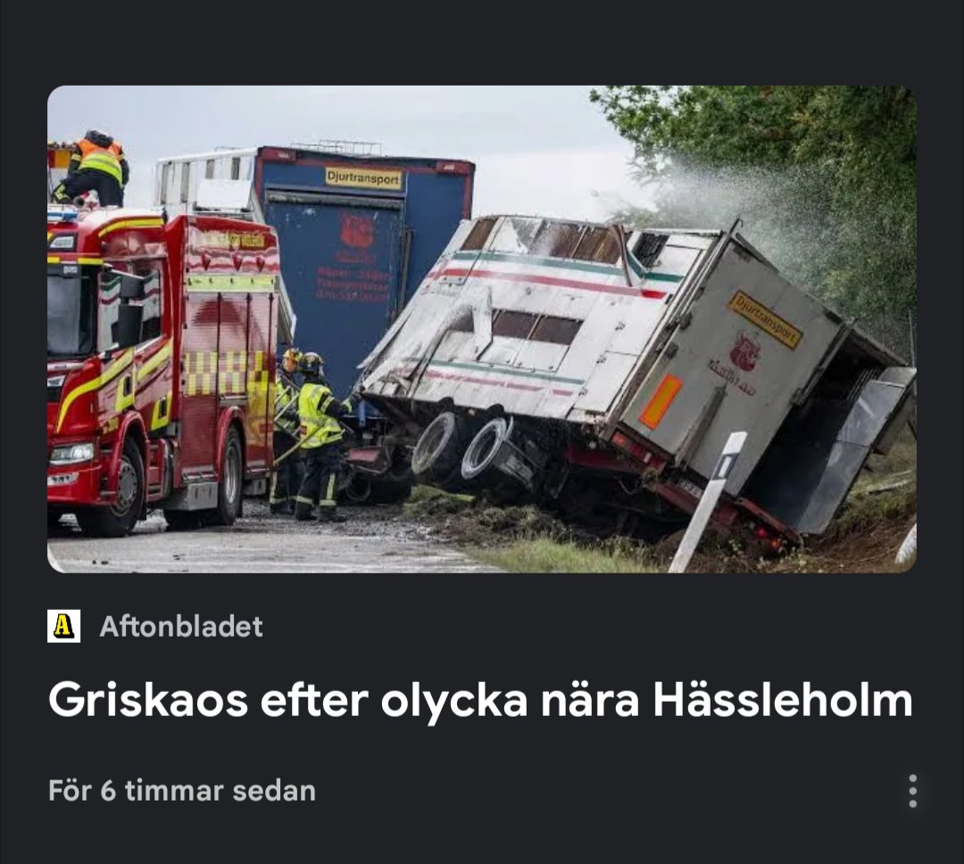 SwedishUsername's tweet photo. Åh nej!
Hoppas att  politikerna klarar sig ifrån allvarliga skador och använde bälte.

#svpol https://t.co/80VQPEpPos