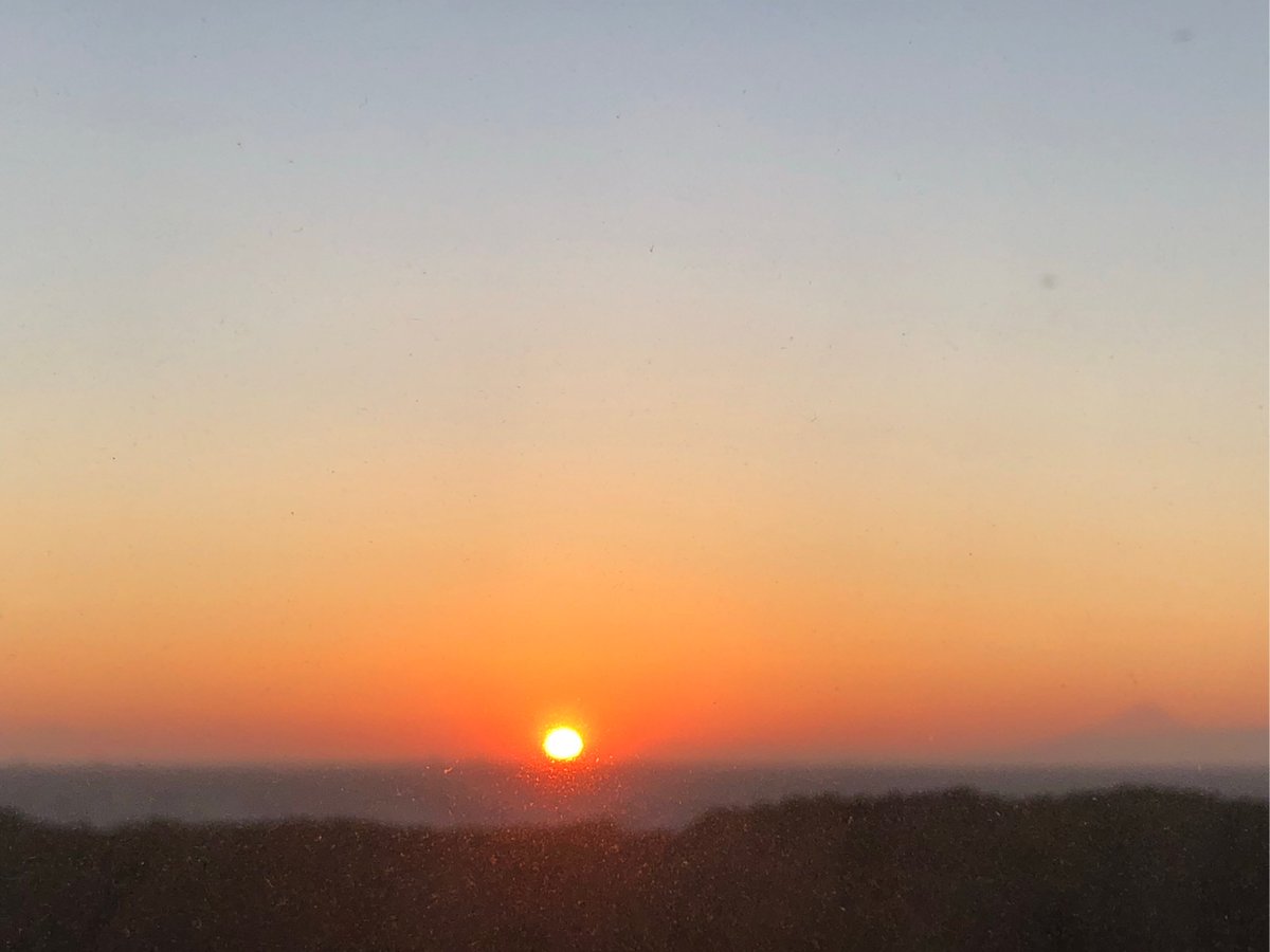 Pach49601440's tweet photo. [Blades sweep, regrets linger, new paths emerge, warm winds carry me forward.] https://t.co/dgvfPqEcCx