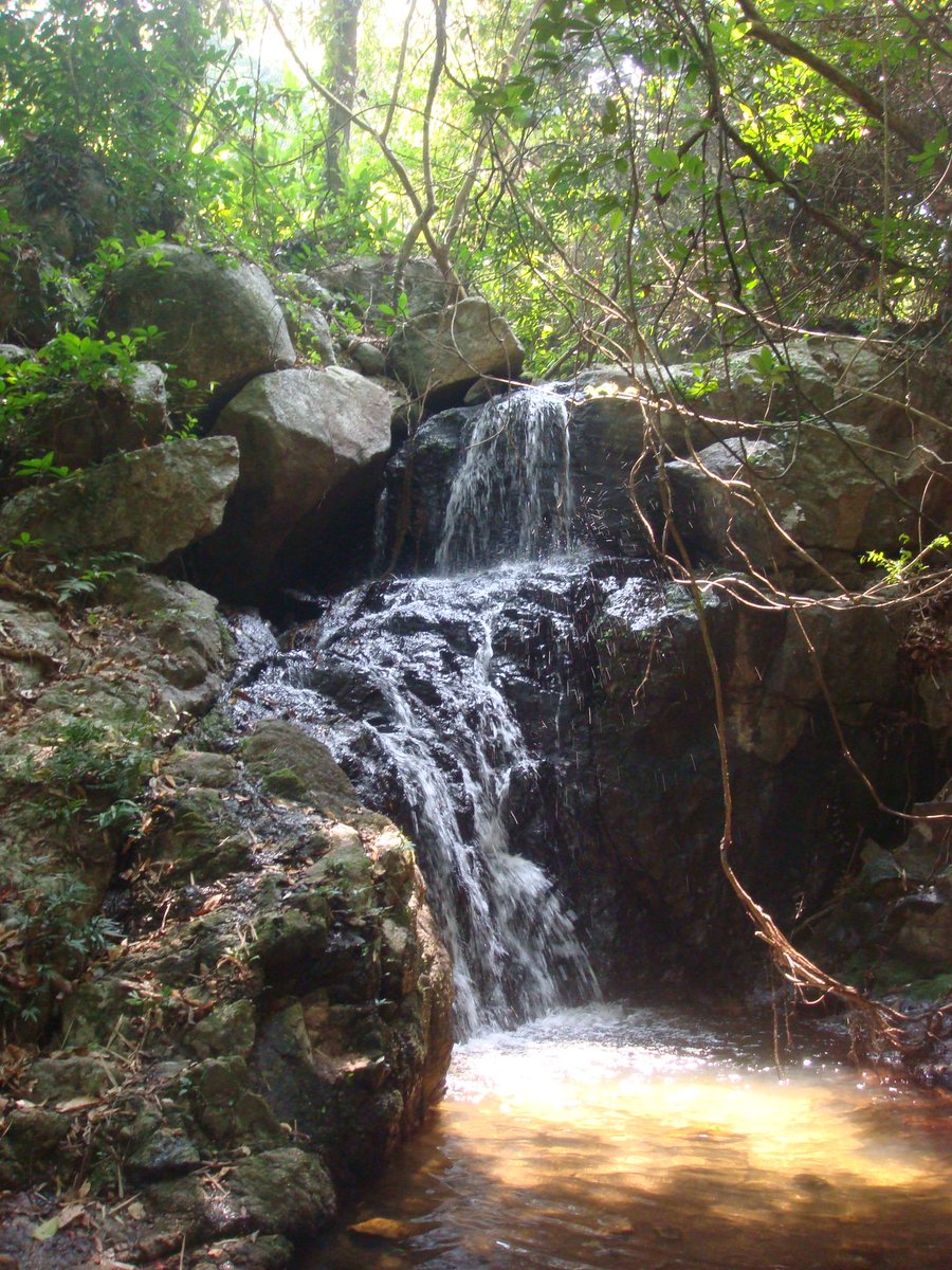 Daniel23013's tweet photo. Check out the cozy town by the wharf (埠坪), where a waterfall (瀑) flows near sandalwood (檀) trees and a young writer (志) finds inspiration. https://t.co/PDxiV57yrB