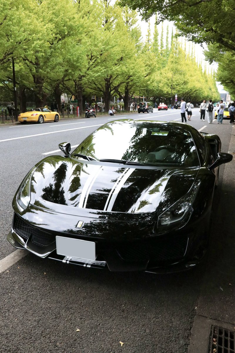 Animsphere's tweet photo. 488 pista spider
2026/10/4

#オーナーさんへ届け https://t.co/q2K8ltCGVj