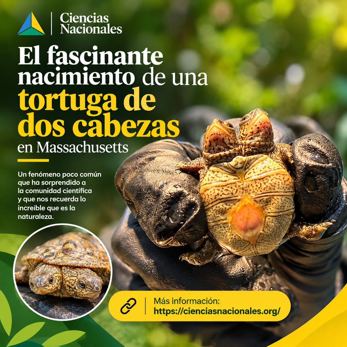 ciencias_cns's tweet photo. https://t.co/xLyvuuYg7U