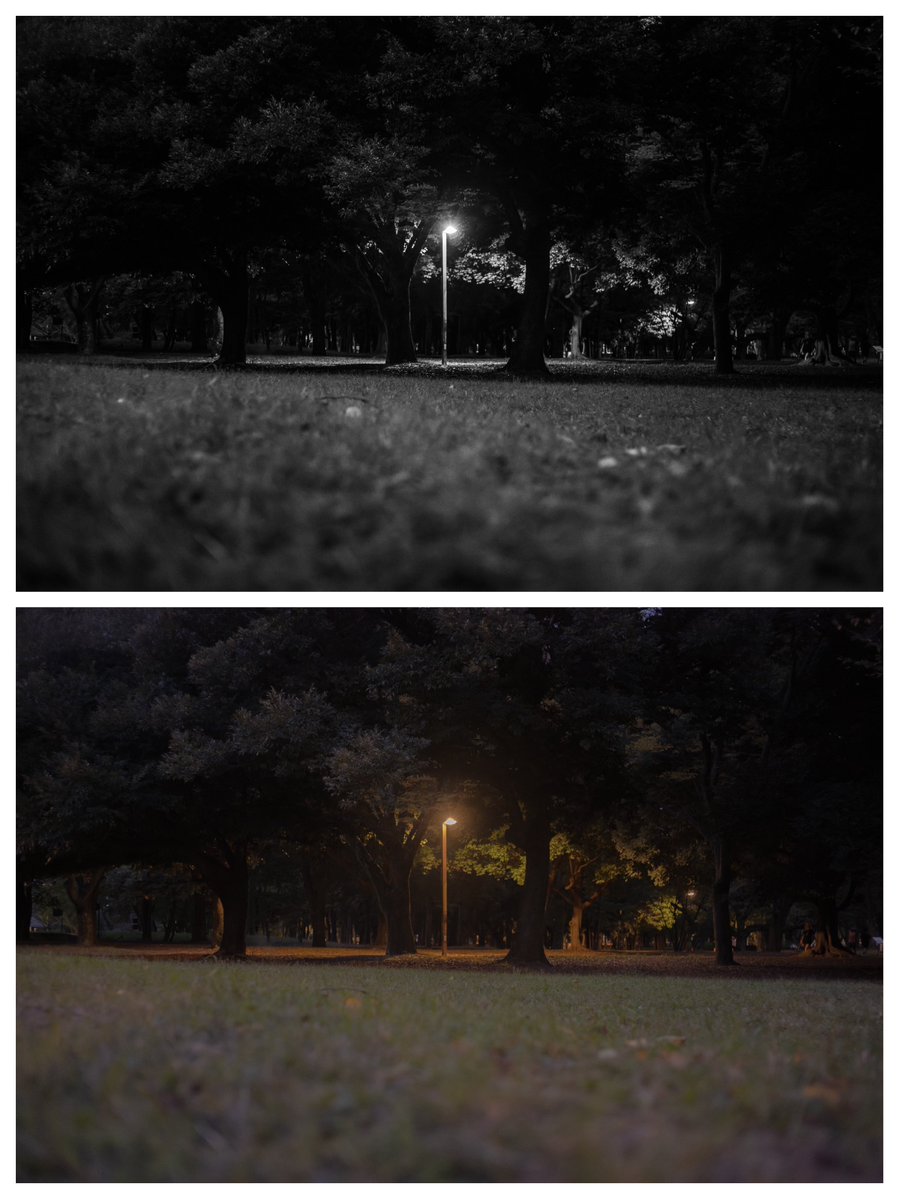 by_dao_'s tweet photo. 暗くないと見えないものがある。

Leica SL3-S
Leica Summicron-M 35mm F2 ASPH.
#Photographer #Snap #Leica https://t.co/LwDI2X60Gl