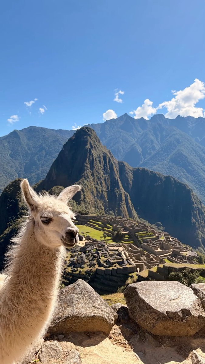 97milkjk's tweet photo. TAEHYUNG AMA MACCHU PICCHU, YA DENLE EL PATRIMONIO 🇵🇪😭 https://t.co/zFxtBU56i1