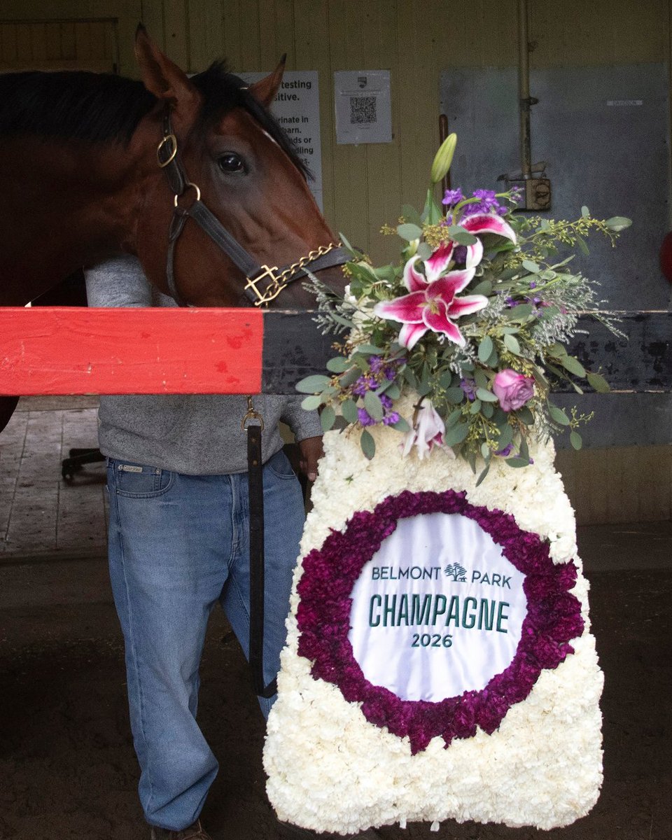 KentuckyDerby's tweet photo. The road is heating up. We had a big weekend of racing, with big-time action from ParisLongchamp to Keeneland and tracks around the globe - leaving plenty of opportunities to cash a winning ticket. 🏇 https://t.co/fikshJ6gru