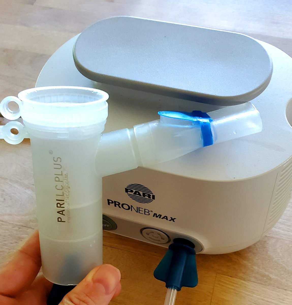 HomesteadAmeric's tweet photo. Mullein tincture nebulized in your lungs will absolutely DESTROY any bacteria that might happen to be there.

Doesn't matter if it's American bacteria, Russian bacteria, Spanish bacteria or alien bacteria. 

Might be a good idea to have a quality nebulizer on hand. https://t.co/vV6PXnhNjH