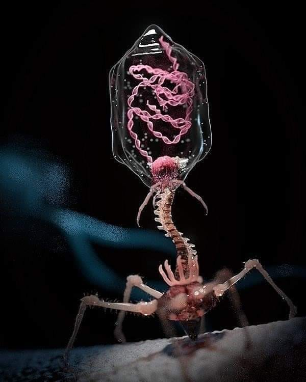 iontecs_pemf's tweet photo. I've explained this, but it is too frightening for people to grasp. There are 470,000 parasites, pathogens, viruses that have been lab-created then digitally-encoded directly into our DNA strands that our own bodies then create to attack our own cells under the right conditions. 

Those conditions can be a sudden drop in temperature, resulting in a 'cold', etc. That's why after hundreds of years of constant research the common cold (coronavirus) is impossible to eradicate. Because the eternal 'curse' hidden in our own genes is authoring them. This is hyper-advance biological warfare that was never an organic condition, but deliberately designed by the same beings that gave us the alien implants of the vagus nerve and reptilian brain that keep humans acting like zoo animals.

You can call this a crazy conspiracy theory all you want, but it has been proven countless times in independent studies across the world that viruses are not actually viral, but you put different people in the exact same unique conditions and they will both somehow get the same cold at the same time. 

It has long been known to medical science that radio waves trigger diseases. Because our viruses are just sitting there waiting for the trigger of a precise set of surroundings or the FREQUENCY associated with those conditions to activate the production of the symptoms associated with the intended attack on the system.

This works exactly like yawns, which have been observed in countless studies effecting classrooms full of students at the same exact time, even though someone on one side of the room could not possibly have 'caught' a yawn from the other side of that room at the same second. Yet multiple students throughout the same class while each one looking down at their text books so there is no visual stimulation to subconsciously trigger them to mimic someone else, yawns at the same time.

We understand now it is a change of conditions that causes the body to react in the very predictable way of responding as shown below. Now read the very last point, no 3. A sonic signal triggers the same response as the temperature/CO2/cortisol precise conditions.

The right signal can cause any of the maladies our bodies manufacture to instantly 'come to life' and attack. The virus cannot be isolated because only the symptoms exist, not a wiggling parasite in many cases. Although our bodies ALSO make those as well. Remove the T2 Bacteriophage from the body and suddenly it is no longer moving or animated, because it is a product OF our body. Any medical scientist will tell you straight out bacteriophages are not living things, but actually robots. One look at that creature and it becomes very obvious, this is not a biological living organism, but literally a nanite. And your body created it.
 https://t.co/Zdj9Yi6J1i