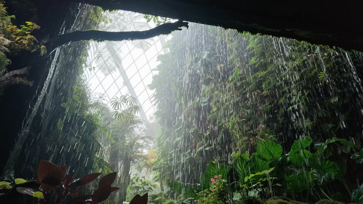 A lush indoor tropical garden with a waterfall cascading down from a geometric glass ceiling, surrounded by dense ferns and broad-leafed plants.