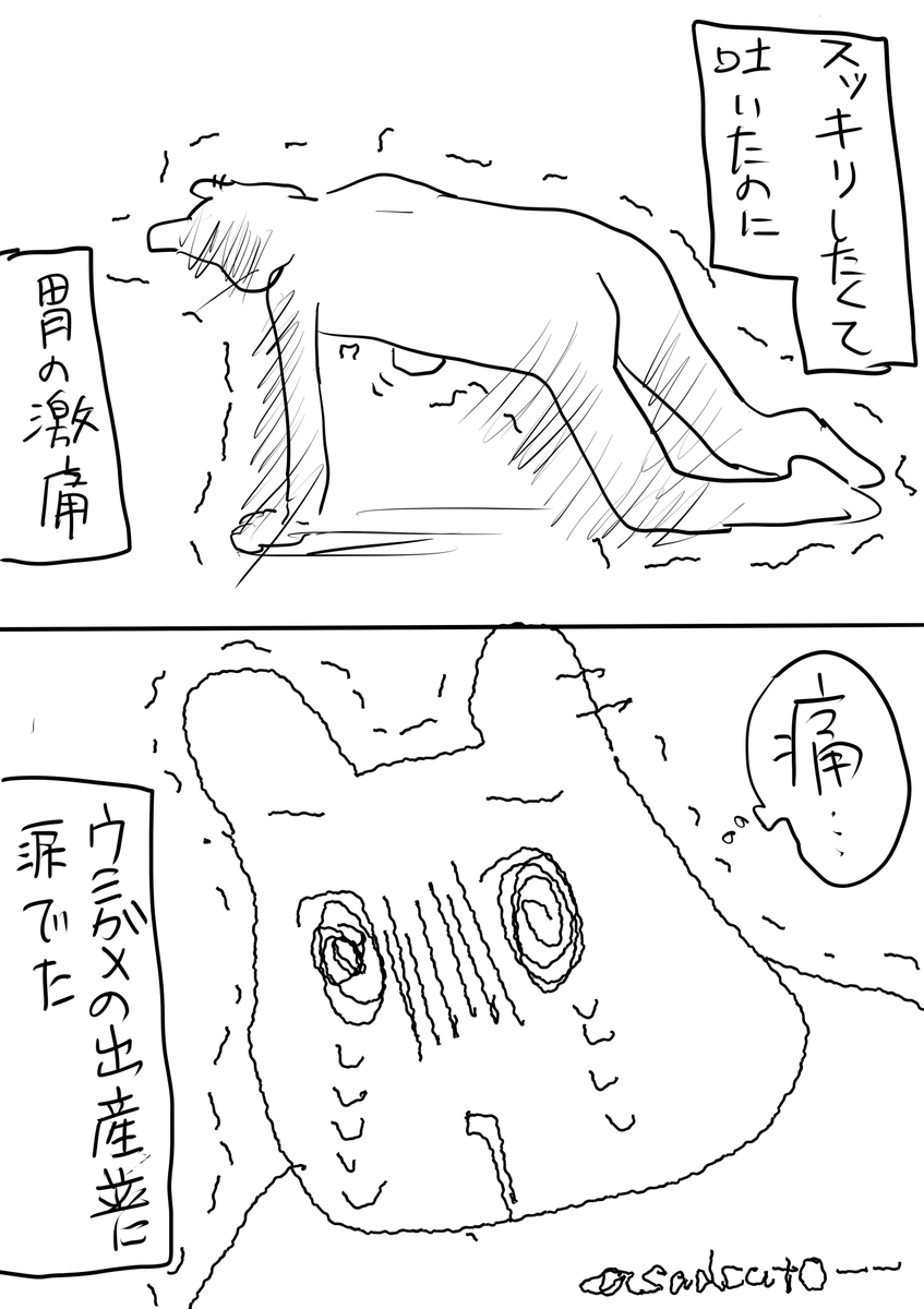 sadcat0__'s tweet photo. 今さっき https://t.co/AWnaan1UYz
