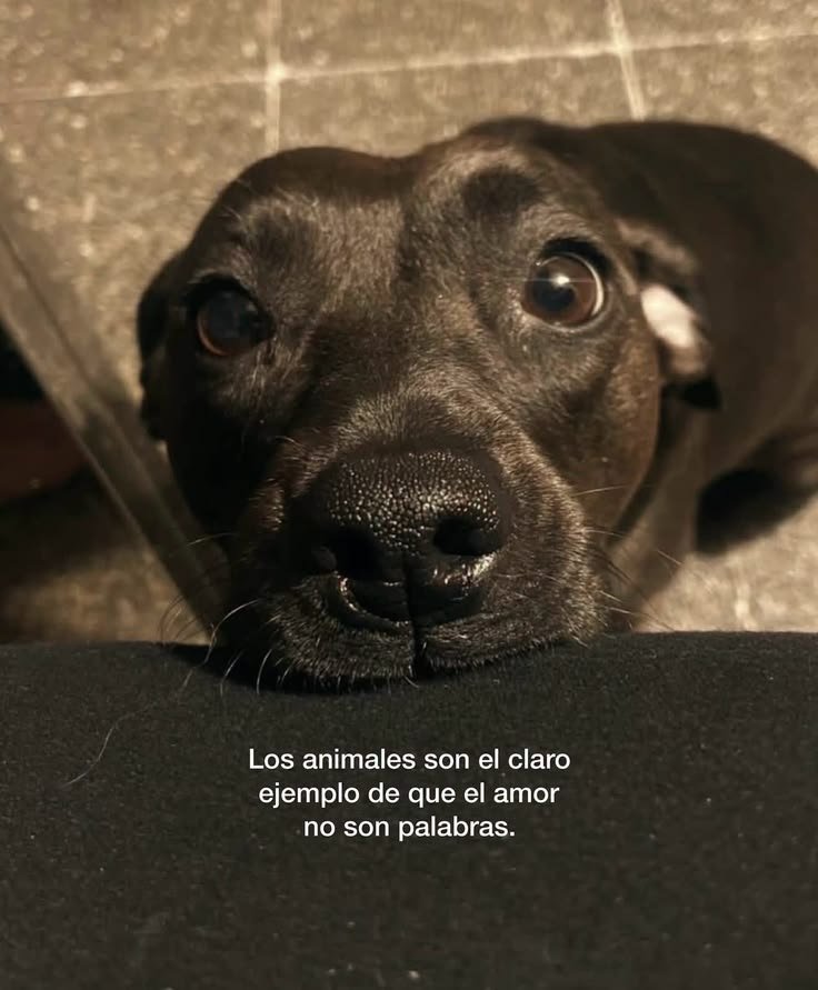 rey_latino33087's tweet photo. https://t.co/cV7Cy87ddq