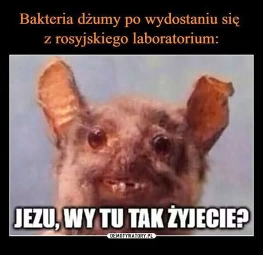 AWMKrajewski's tweet photo. Fajne :) https://t.co/618wJOzh1O