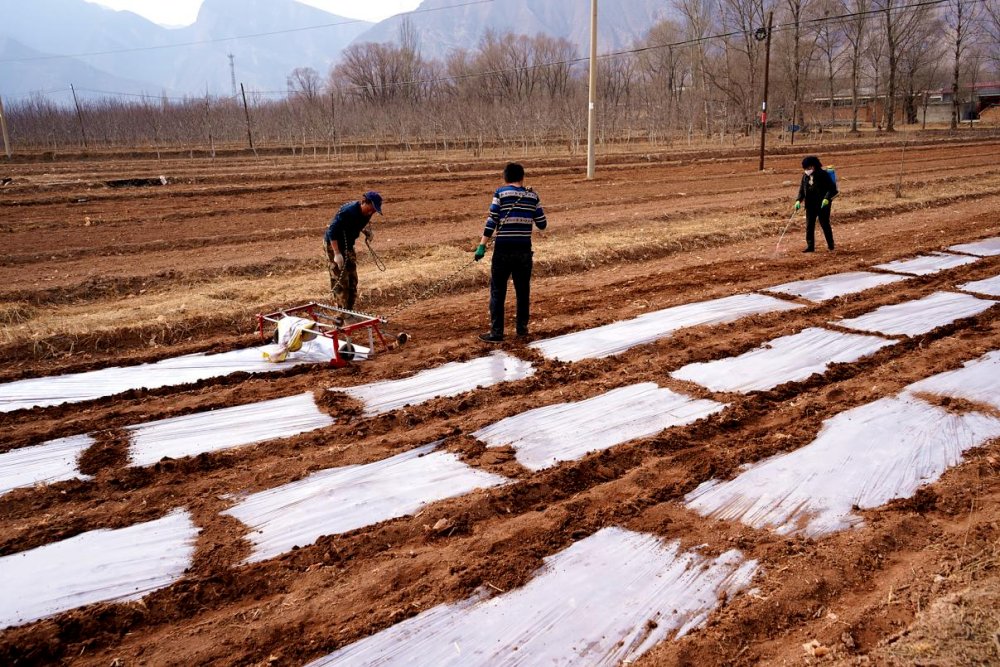 __Kryp's tweet photo. "The earthen kang (heatable brick bed in Northern China) has a well-moistened furrow (墒) for seeding, and it's the first (第) choice for spring farming prep!  #RuralLifeChina"， https://t.co/Xuq4Sz5qYo