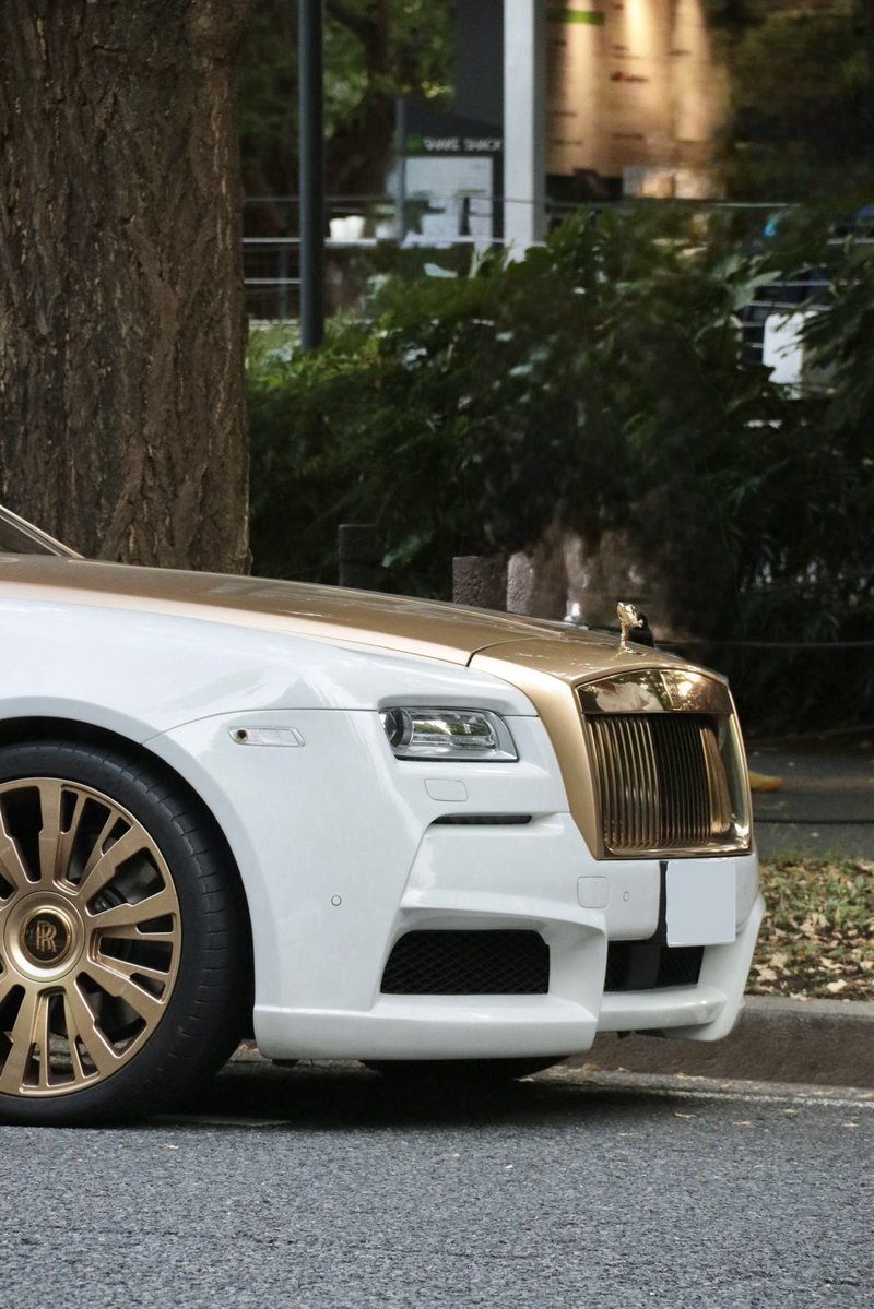 Animsphere's tweet photo. Rolls-Royce Wraith
2026/10/4

#オーナーさんに届け https://t.co/q0Su2fjSPS