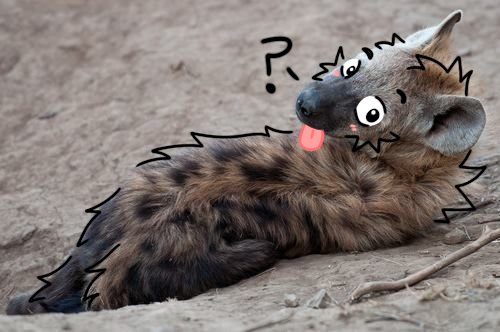 DrilltheYeener tweet picture
