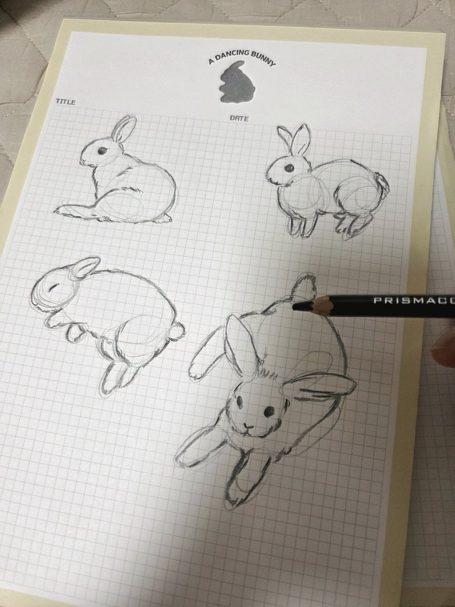 savethebunnies_'s tweet photo. 토끼집사 10n년차
종이에 토끼를 소환할 수 있는 스킬이 생겼다......🐰🐰🐰 https://t.co/tpo3RoTdx1