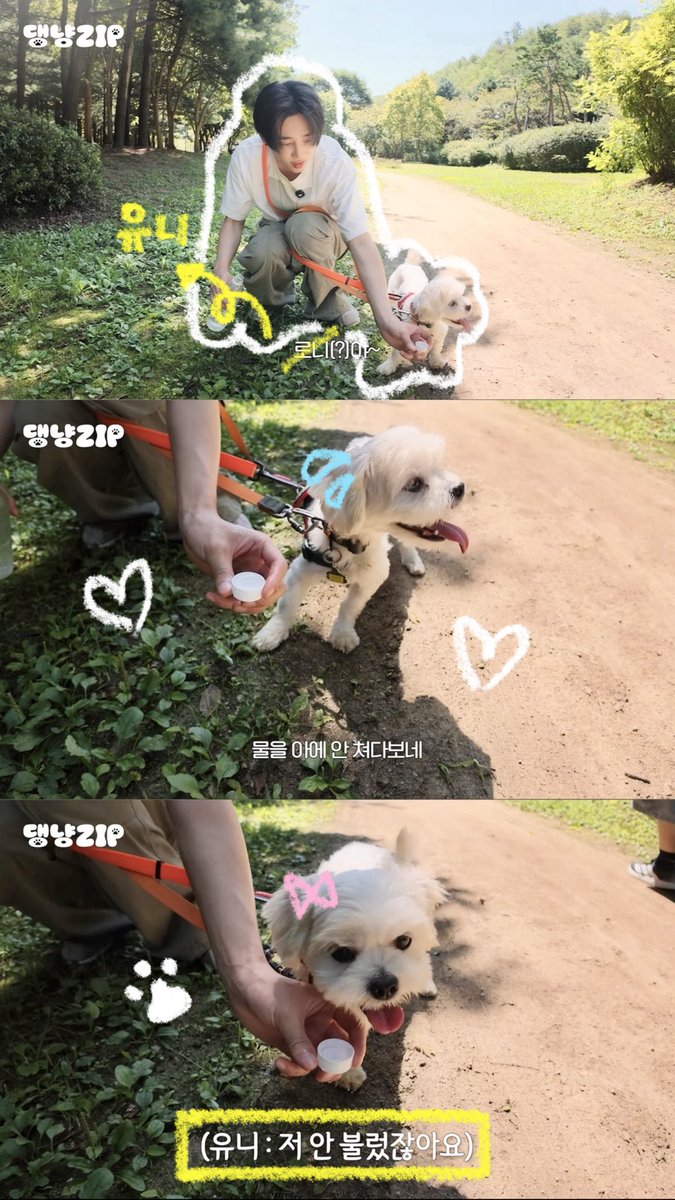 csuniio's tweet photo. #댕냥ZIP_EP03 선우가 영원히 로니라 불렀지만 선우&amp;유니 2배로 귀엽고 입양도 가서 정~말 다행 ⸝⸝ᵒ̴̶̷⊙ᵒ̴̶̷⸝⸝ 영자도 얼른 좋은 주인분 만나길!!🙏🏻 정말 볼때마다 마음이 따뜻해지고 너무 좋은 취지의 프로그램이라 이세상 모든 유기견/묘들이 좋은 분들 만나는 날까지 오래오래 가길🐶🐱🦝♡ https://t.co/AoFF8TOTM8