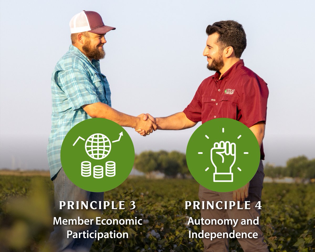 farmcredit's tweet photo. As a network of cooperatives, Farm Credit is guided by seven principles that shape how we serve our members, make decisions and strengthen the communities we support. https://t.co/PymUhEZ6GV