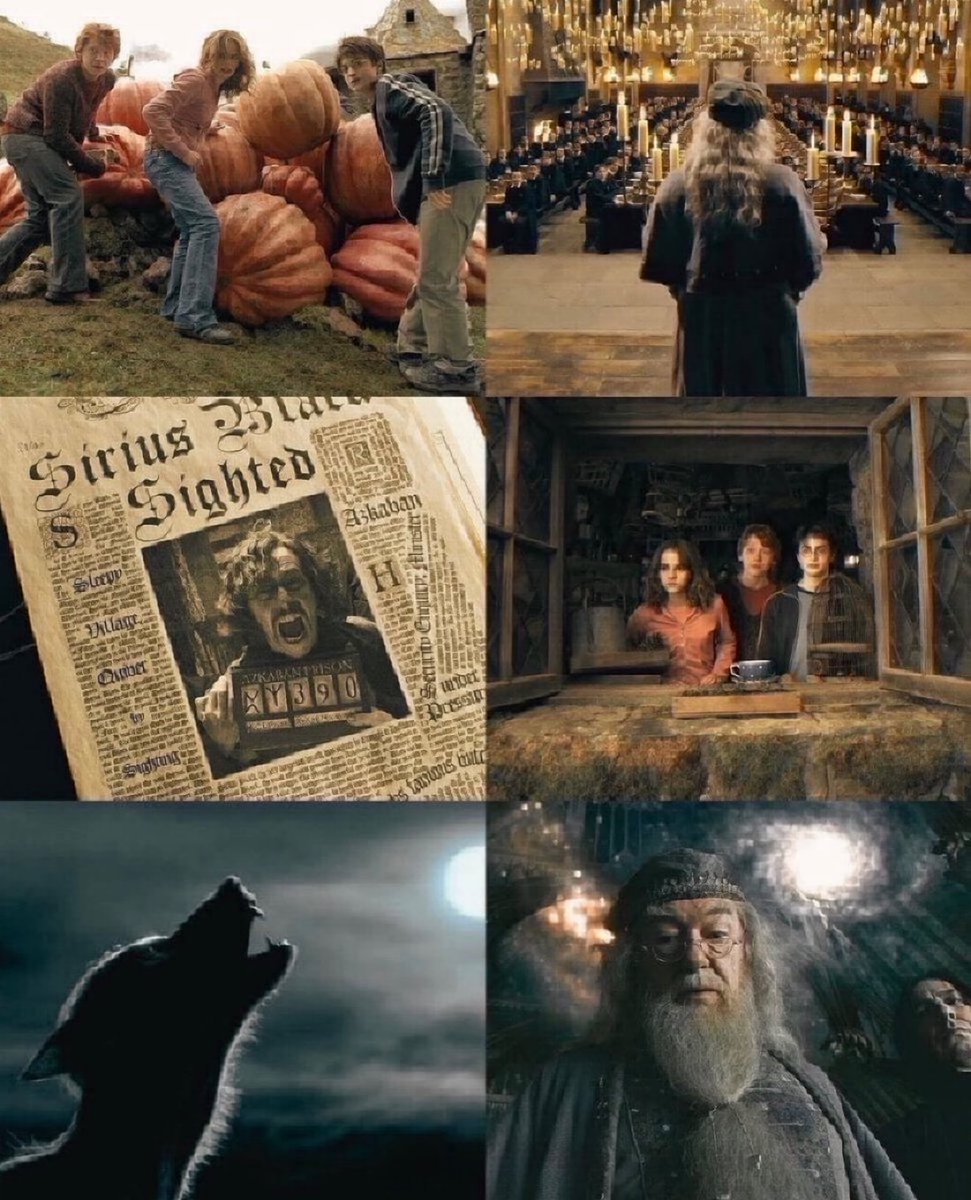 TheDailyHPotter's tweet photo. Harry Potter and the Prisoner of Azkaban 🌩️ https://t.co/RiVvOl2lTg