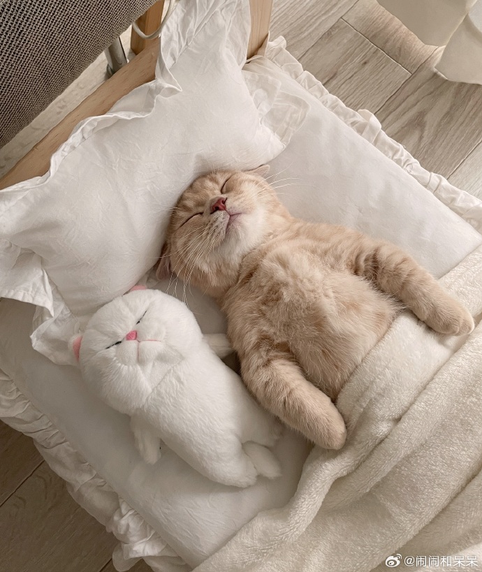 gojo_2309's tweet photo. Feeling so 匕劳呐 today, need a cozy pick-me-up to make it better. https://t.co/4Rg8qMUagb
