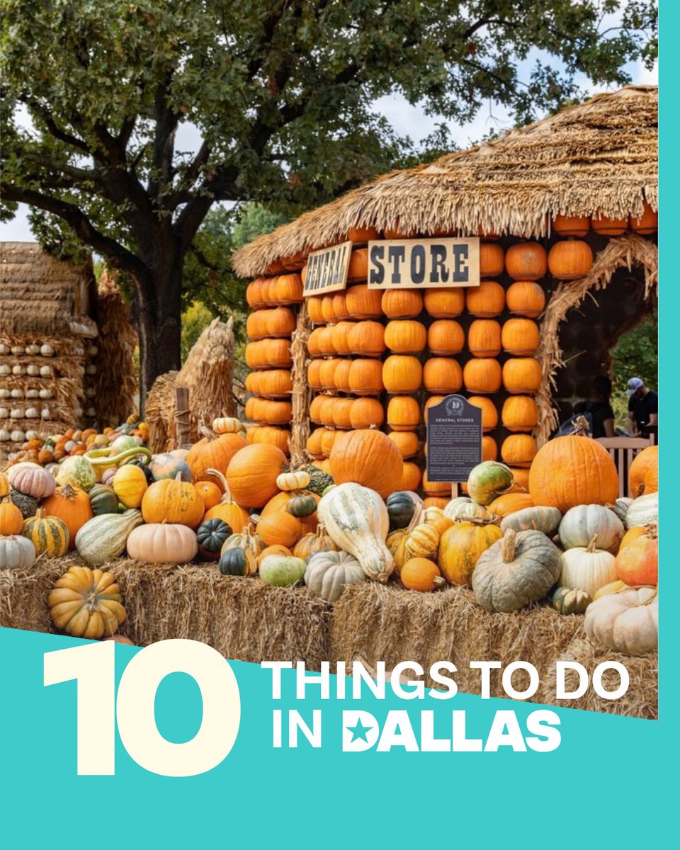 visit_dallas's tweet photo. Spooky season is taking over Dallas! 👻
From Hocus Pocus in Concert to haunted movie nights!
Check out this week’s Top 10 picks in Dallas!→https://t.co/6aVdr6oJeN
#10ThingsToDoInDallas #ThingsToDoInDallas #Dallas #ThingsToDo #ExploreDallas https://t.co/T7Pl8sgbgc
