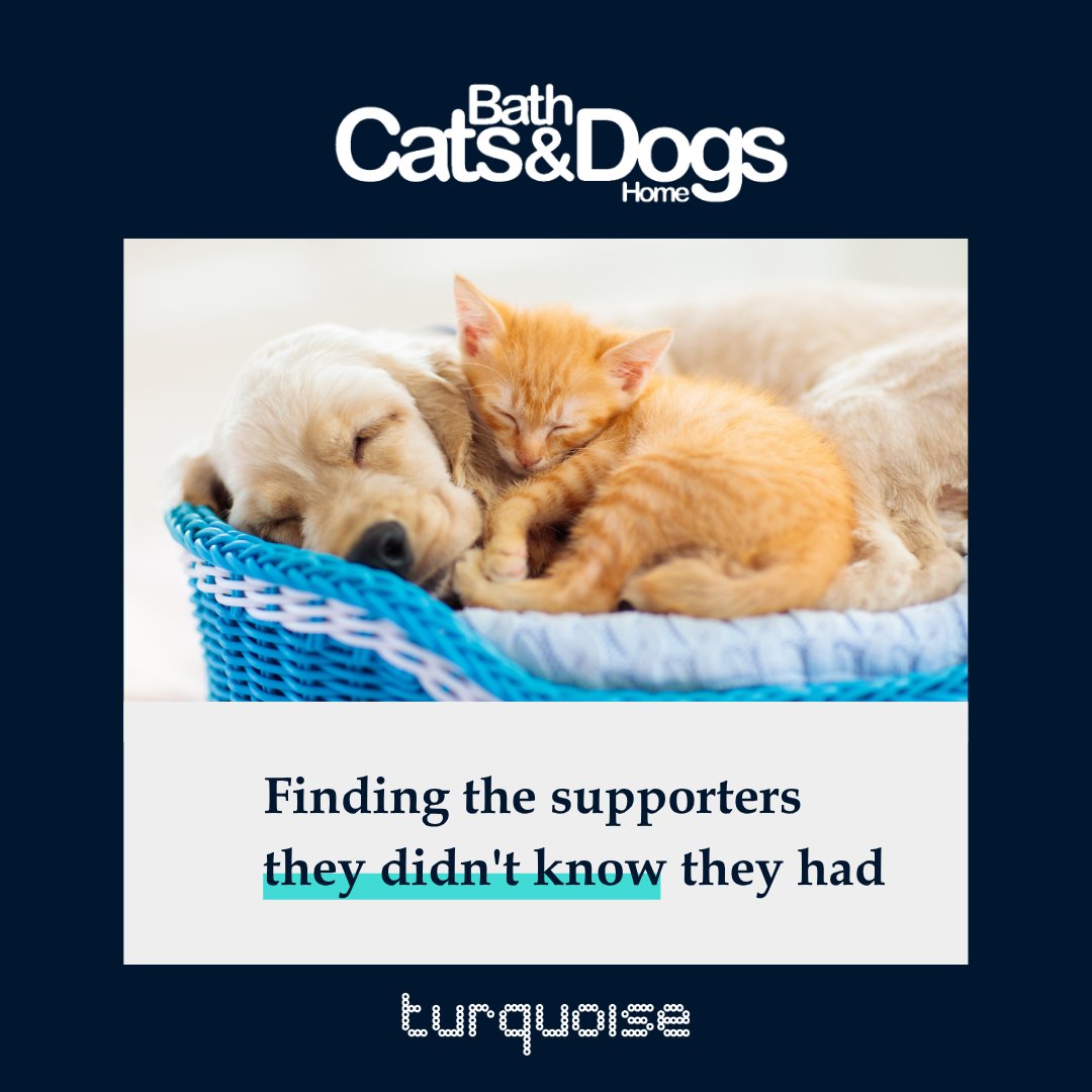ThinkTurquoise's tweet photo. How well do your supporters actually understand what you do?

For Bath Cats &amp; Dogs Home, we ran their first-ever supporter and community perception #marketresearch, uncovering new audiences and sharpening their messaging to boost engagement.

Full story: https://t.co/3eulu4pLvG https://t.co/n2Rz2xl3tn