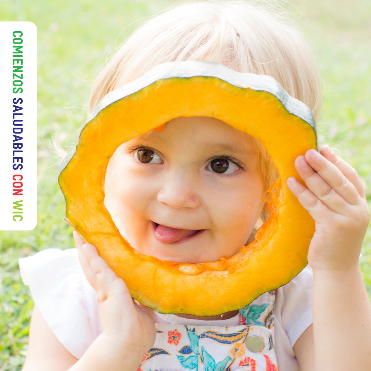 Puentes_SC's tweet photo. En el WIC, sabemos lo importante que es incorporar frutas y verduras en la dieta de su familia. Las frutas y las verduras aportan vitaminas, minerales y fibra esenciales que favorecen el crecimiento de los pequeños. https://t.co/BFsbEzaIkL