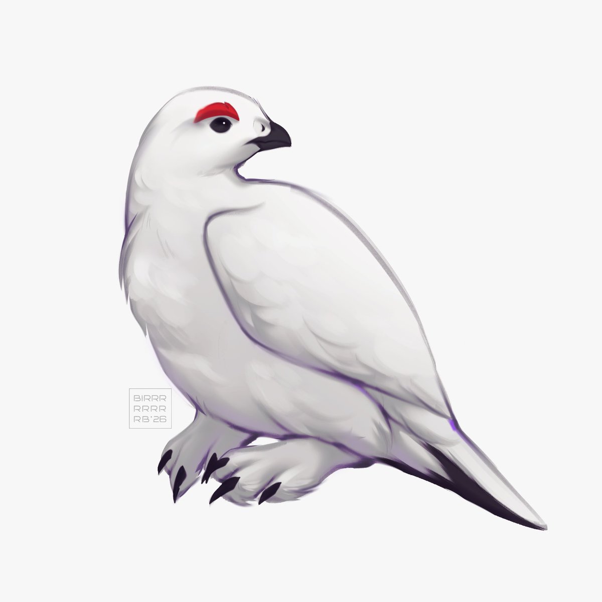 birrrrrrrrb's tweet photo. day 5 - willow ptarmigan

#art #artwork #birbtober2026 https://t.co/obuN2mH0mG