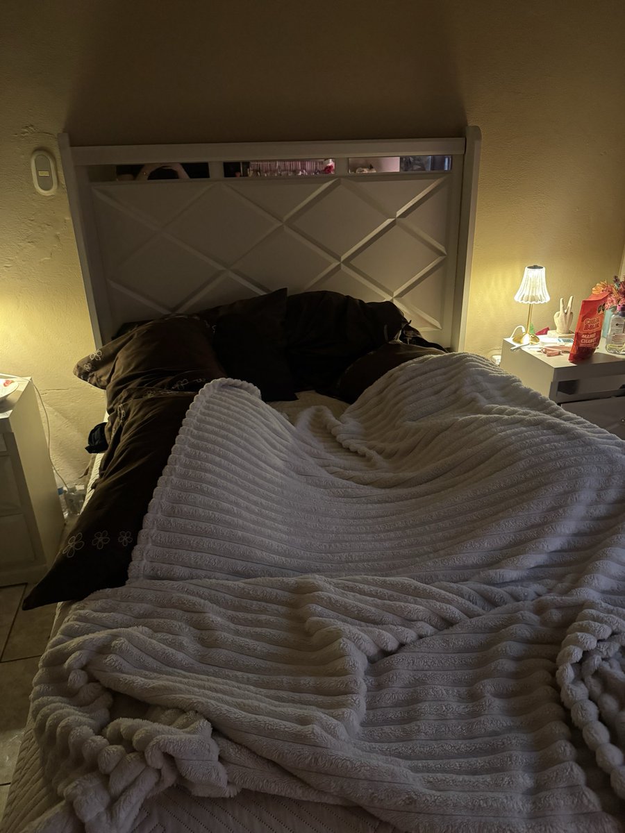Ayleen_Flowers's tweet photo. Así se ve mi cama de emahazadita punto com, para poder dormir relativamente a gusto🫶🏻 https://t.co/3DTU0VQ622