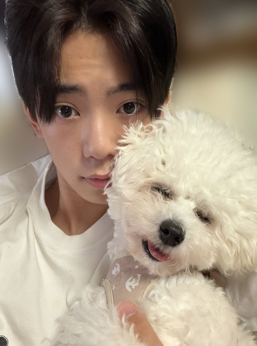 nymkose16's tweet photo. 晃聖くん（世界でいちばんだいすきで大切で誰よりも幸せでいてほしいひと） https://t.co/MCq5zeFwgw