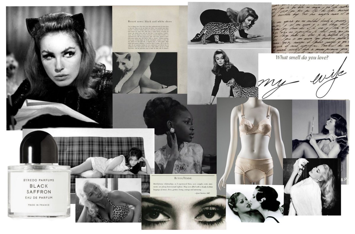 shaerontate's tweet photo. The Feline Femme https://t.co/eEPbsIL2so
